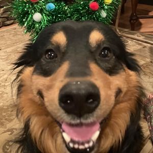 Meet your Posher, Luanne